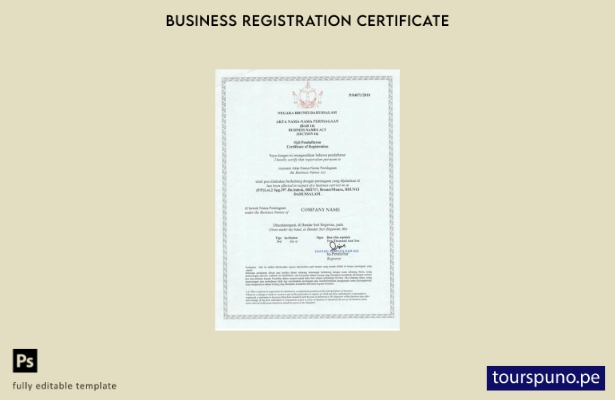 Plantilla de licencia comercial de Brunei lista para imprimir